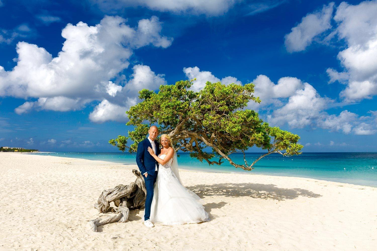 carousel-hero-element image-10